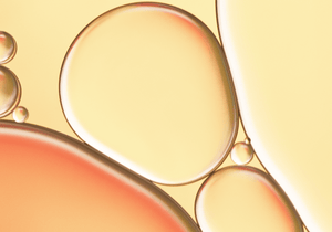 10% Tetrahexyldecyl Ascorbate