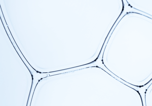 2% Dioic Acid
