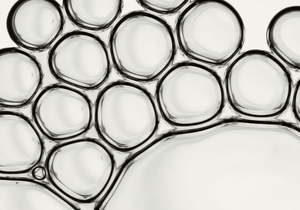 7 Brighteners & 5 Antioxidants