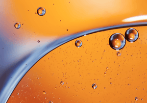 Carrot Seed Extract