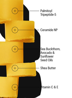 ceramide lip balm ingredients
