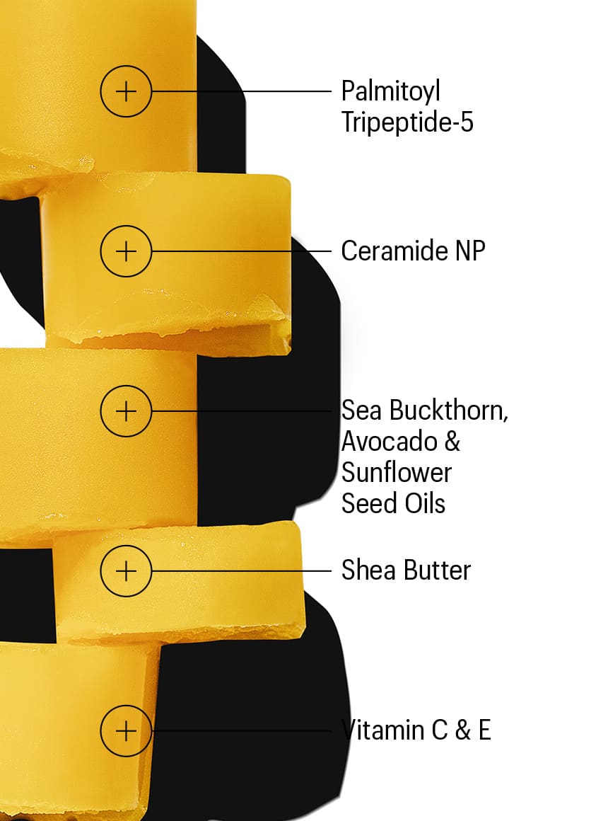 ceramide lip balm ingredients