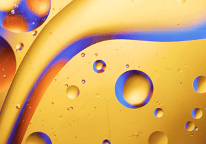 Mango Fruit Extract