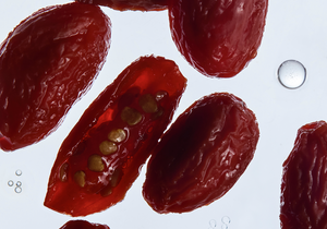 Goji Berry Cells