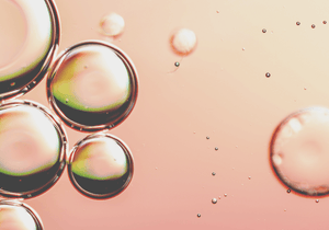 Prebiotics & Probiotics Complex